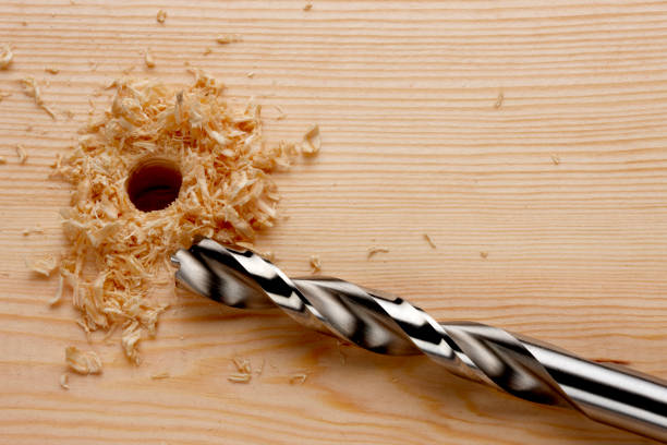 Holzbohrer