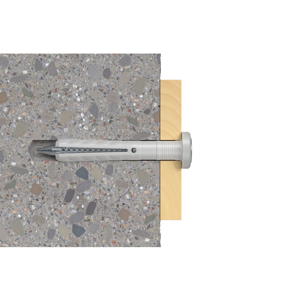Fischer - Nageldübel N 6X40/10 F (100) - 513840